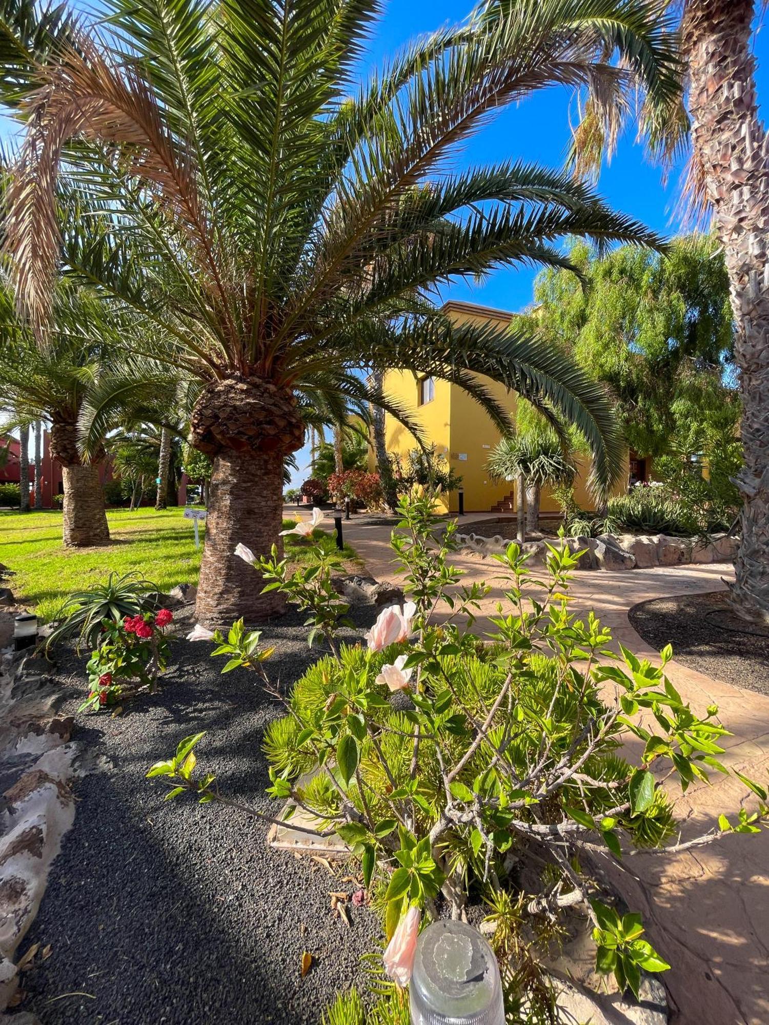 Karol Home By Best Holidays Fuerteventura Corralejo Bagian luar foto